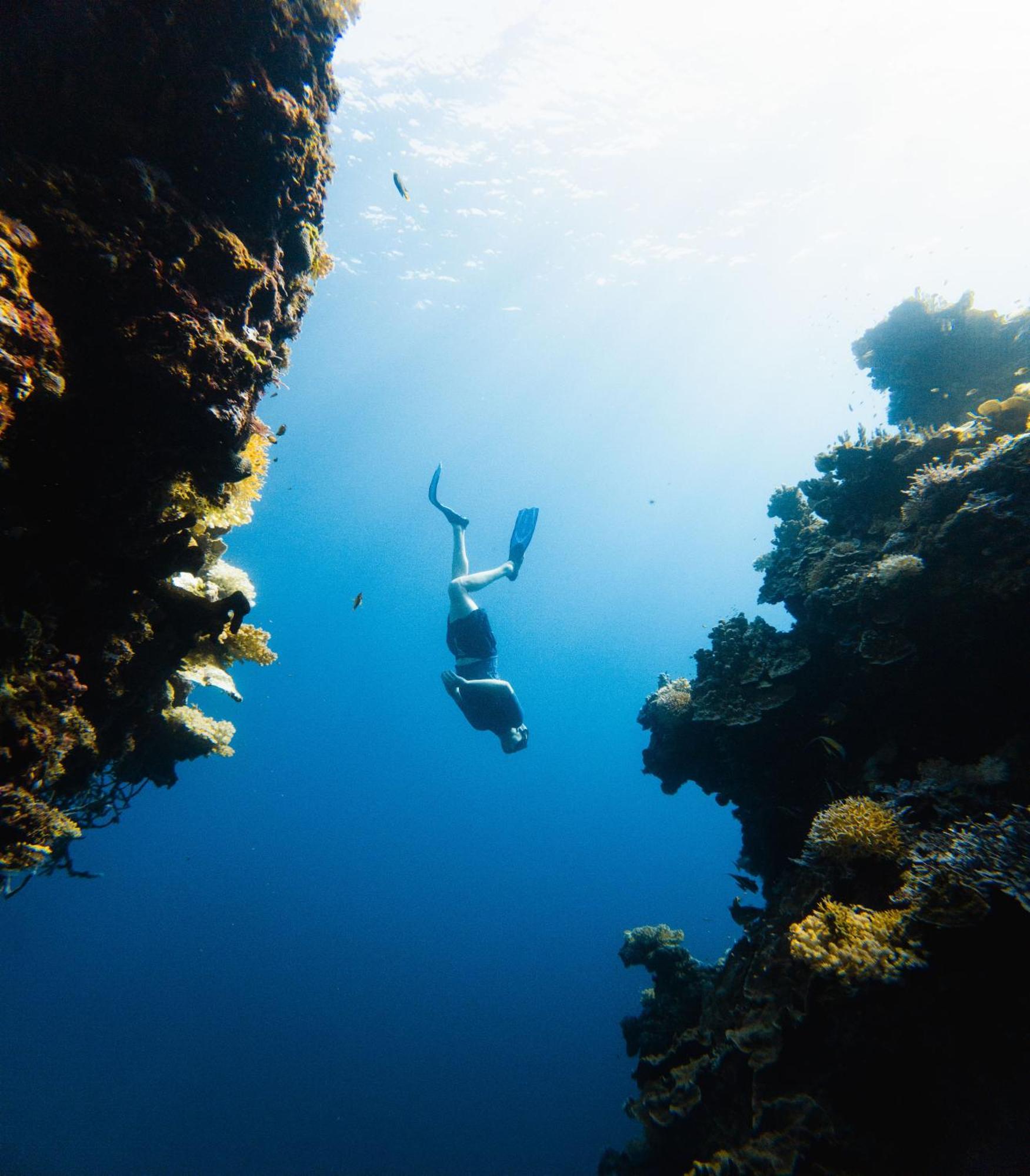 Reconnect - Private Island Resort & Dive Center Togean - Buka Buka Island Ampana Exteriör bild